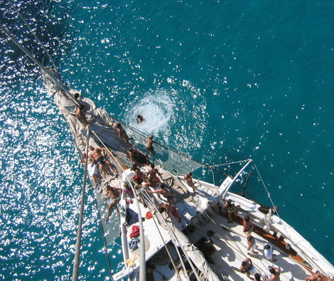 Navigation License